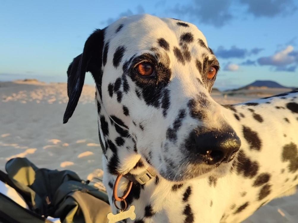 Fuerteventura Casa Tikuna Ла Олива Екстериор снимка